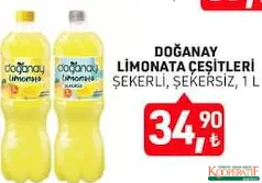 DOĞANAY LİMONATA 1 L fiyat ve kampanya bilgisi